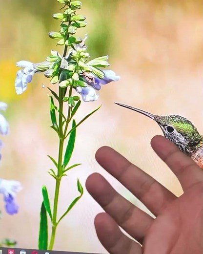 Get Your Companies House Personal Code Outside the UK 2026 | Identity Verification (PART 1 OF 8)