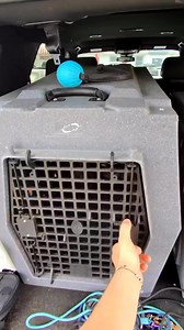 1.2M views · 29K reactions | MALINOIS tries WATER ICE for the FIRST TIME!  #dogtraining #waterice #malinois #brandywinedogacademy #delaware | Brandywine Dog Academy | Facebook