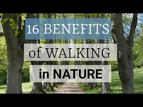 16 Benefits of Walking in Nature