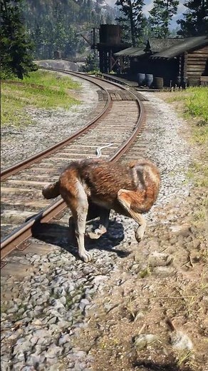 Snake Bites Black Wolf to Save Man Near Railway! RDR2 #shorts