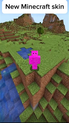 New Minecraft skin