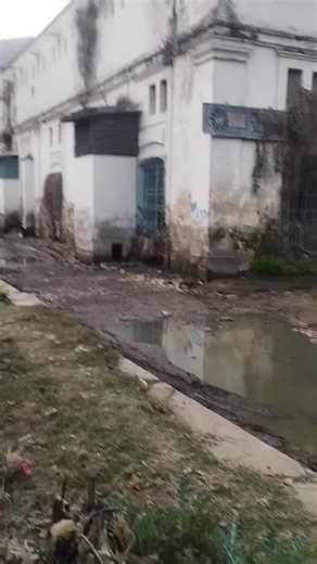 Videos de Mario Guzman (@mario.guzman816) con “sonido original - Mario Guzman”