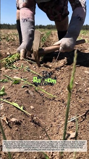 Mini Hand Hoe Planting Technique! Simple Tool, Super Fast Farming 🌱