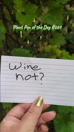 Grape Vine Pun – Funny Gardening Humor | Plant Pun of the Day | ThePlantifulGardener