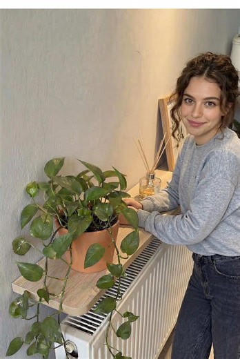 Transforming Ugly Radiators into Beautiful Features