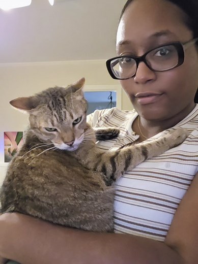 Cat cuddles: why my cat is my child and I love it