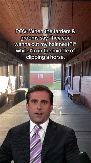 No, not really. #horsepeople #horsegrooming #equinegroom #horsebodyclipping #farrier