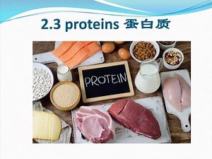 AS Biology chapter2.3 proteins