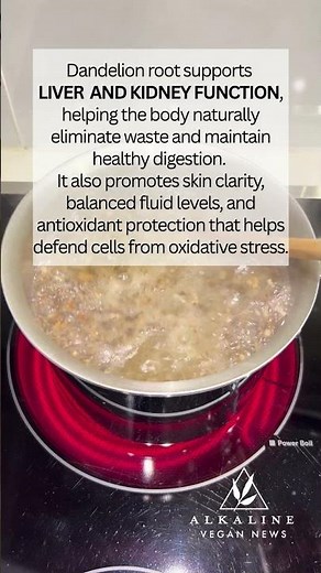 Benefits of Dandelion Root