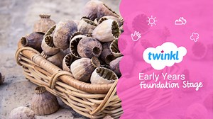 Small & Large Loose Parts Play Ideas | Twinkl Blog