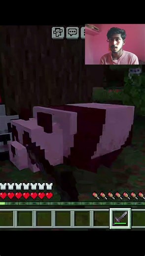 MINECRAFT PANDAS GANG #shorts #minecraft