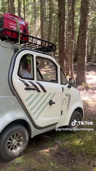 Edwin's Influence on AI Model Training Process