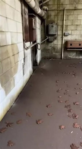 Rear Access of the Machine Shop #abandoned #workshop #garage #underground #decay