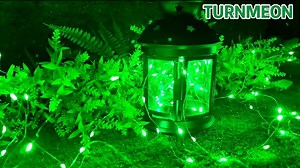 Watch 12pack green mini string lights on Amazon Live