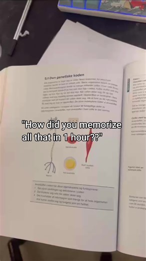 Boost Your Grades with Studymaxx Techniques