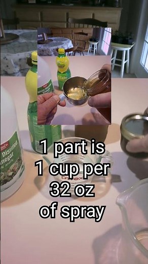 Easy DIY Pet Repellent!