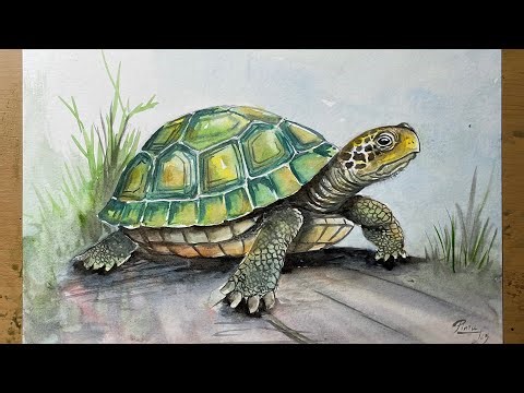 Watercolour Painting of a Tortoise | Realistic Animal Art Step by Step