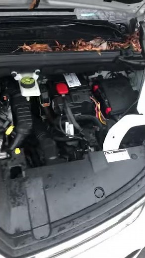2016 Citroen C4 Picasso starting problems resolution