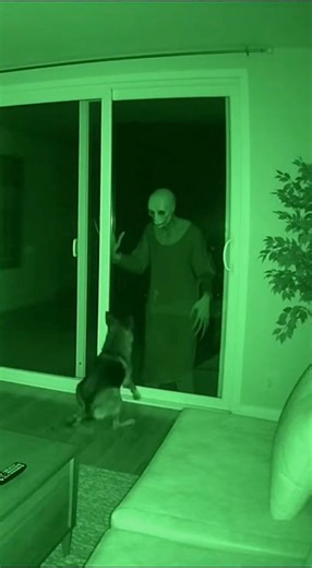 Don't look out the window at night... 🪟😱 #shorts