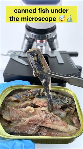 unexpected view canned fish under the microscope 😯🔬 #shorts #shockingfacts #microscope #experiements