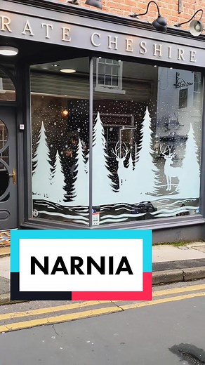 Transforming Window into Winter Wonderland