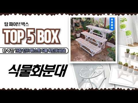 좁은 베란다, 거실 화분 정리 끝! 예쁜 화분 진열대 식물 인테리어 꿀팁