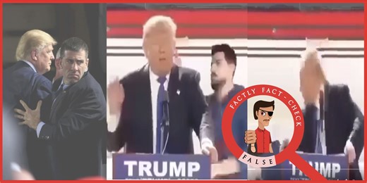 The viral video of Trump getting slapped in a public event is edited and based on a 2016 rally clip - FACTLY