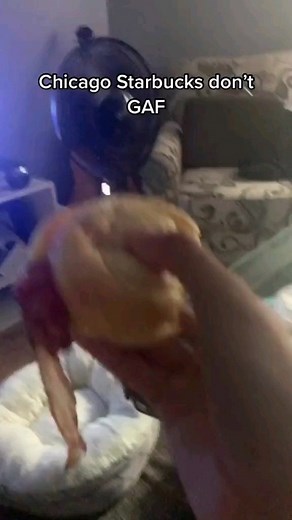 Golden | Goldenmodz.com for gta 5 & COD ch3ats! @golden_modz @russian.lawyer | Instagram