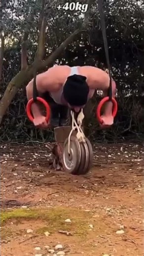 Γυμναστική στη φύση με διάφορους τρόπους #calisthenics #streetworkout #fitnessmotivation #fitness