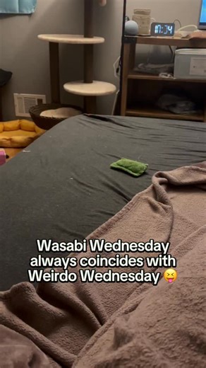 19 comments | Haven’t posted a Wasabi Wednesday in a while so we’re...