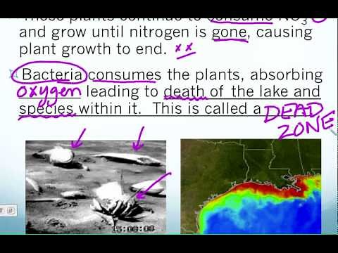 Nitrogen HUMAN IMPACT