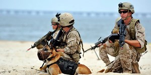 Is there a cyber security equivalent of ‘SEAL Team Six’?