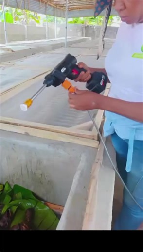 how to set up a new snail farm