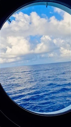 I CAN'T SWIM 🏊‍♂️ #water #marine #swimming