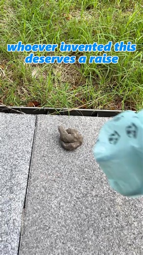 🐾 Never Touch Poop Again — The Smarter Way to Walk! Tired of messy bags and awkward cleanups? 🚫 This Portable Pet Poop Scooper lets you pick up in seconds — totally hands-free, totally hygienic. Simply clip it to your leash and stay ready for any situation. ✨ Why Pet Parents Love It: ✅ Always Ready – Compact, lightweight, with built-in bag dispenser ✅ Hassle-Free – One-handed use, no bending, no mess ✅ Durable & Odor-Resistant – Built to last through daily walks ✅ Eco-Conscious – Pet-safe mate