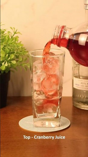 Vodka Cranberry Cocktail 🍒