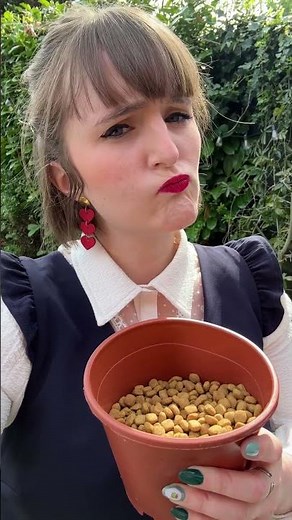 Stop feeding the hedgehogs!🦔
