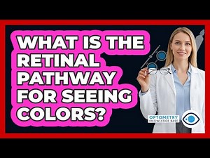 What Is The Retinal Pathway For Seeing Colors?