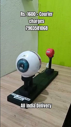 Eye Working Model | Biology working model| school model and project