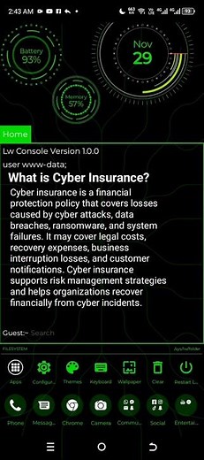 You Won't Believe How Powerful Cyber Insurance Really Is! 😱