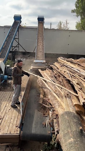 Industrial Wood Chipper: Massive Log Transformed into Clean Wood Chips