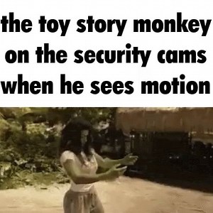The toy story monkey on the security cams when he sees motion - iFunny
