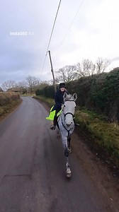 Cantering on the road wasn’t the plan for today 😂 #equestrian #horse | Laura Robson equestrian