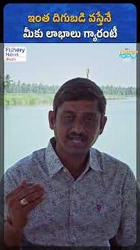 Guaranteed Profits? How to Maximize Fish Farming Harvest! | Fishery News Telugu