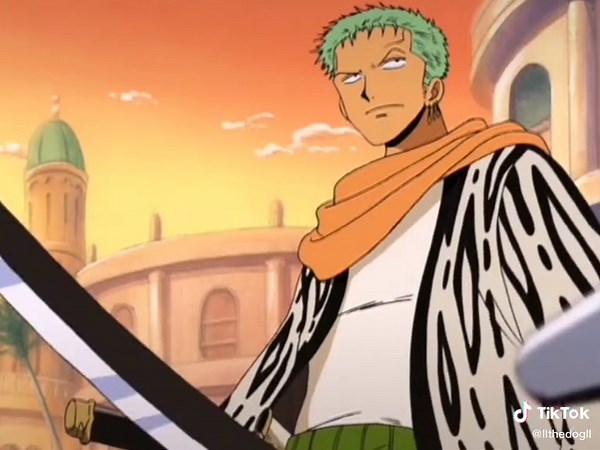 Luffy and Zoro: Exploring Anime Fan Favorites in One Piece