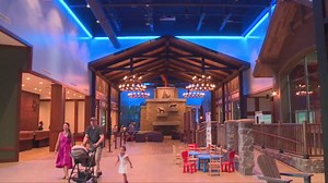 Great Wolf Lodge announces one-day flash sale: Stay for $26 per person, per night
