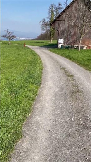 Just a simple walk #2 #learnwhilewalking #walking #learning