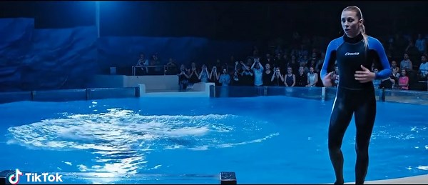 Stunning Orca and Dolphin Show Highlights