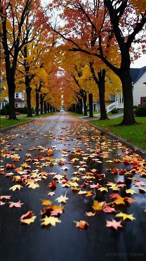 Golden Autumn Road 🍂 | Calm Fall Ambience with Soft Breeze and Whispering Trees