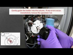 Talos TEM Sample Loading Procedure